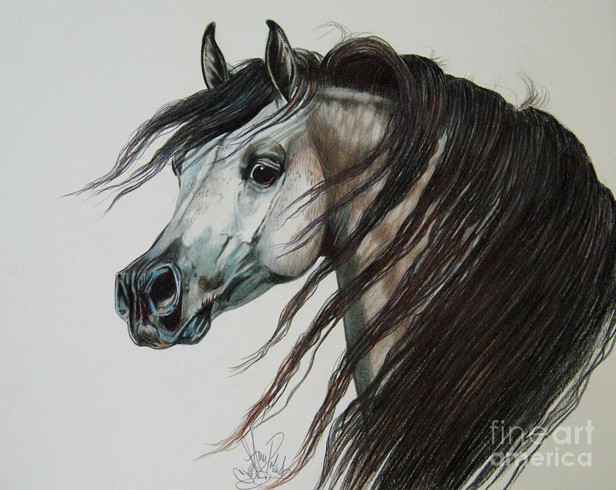 Horse Painting - Arabian Knight of the Dark by Cheryl Poland