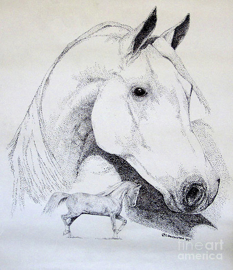 Horse Drawing - Arabian Mare by Lucien Van Oosten