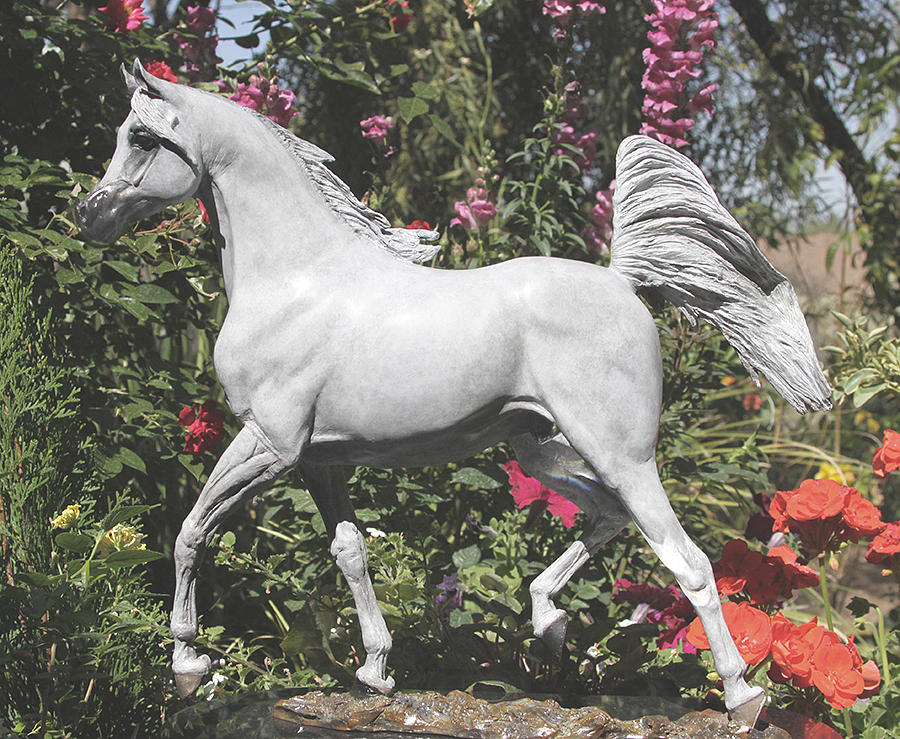 Arabian Stallion Bronze Sculpture Sculpture by J Anne Butler