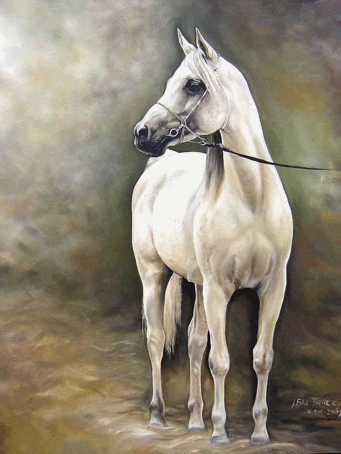 Arabian stallion Ibn Tareef Painting by Ellen-marie Janse - Pixels