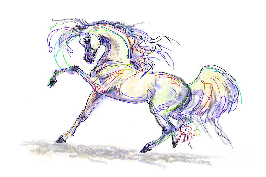 Arabian Stallion Talk by Stacey Mayer Arabian Stallion Talk by Stacey Mayer
