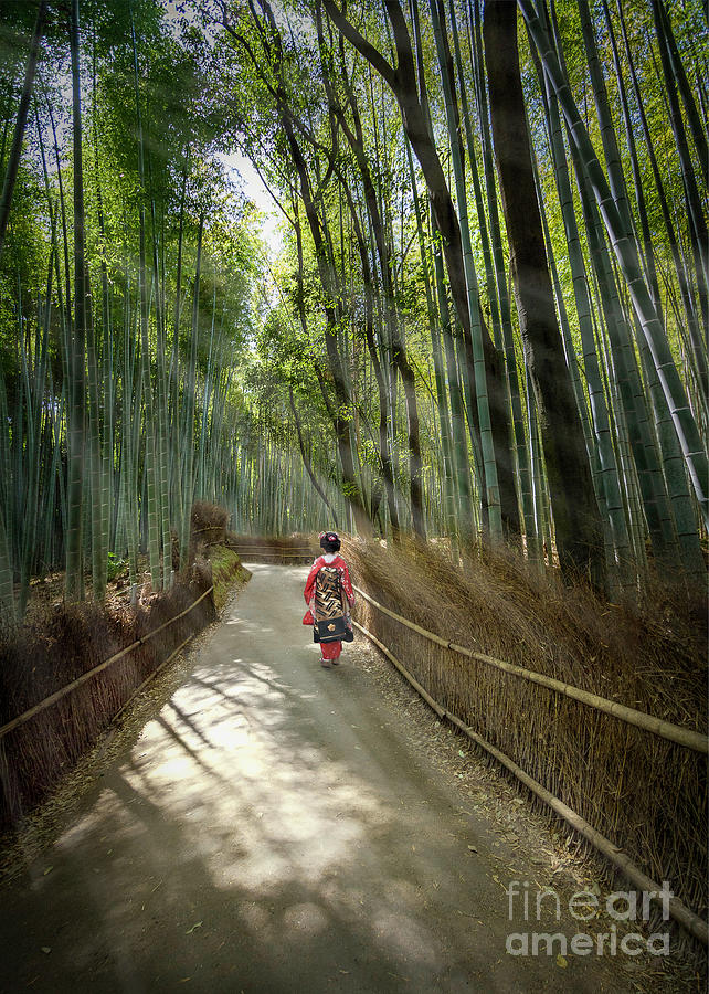 Arashiyama Solitude Photograph by Karen Jorstad