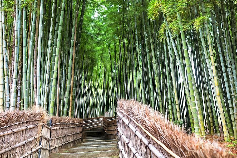 Spring Photograph - Arashiyamas Bamboo Groves by Eva Lechner