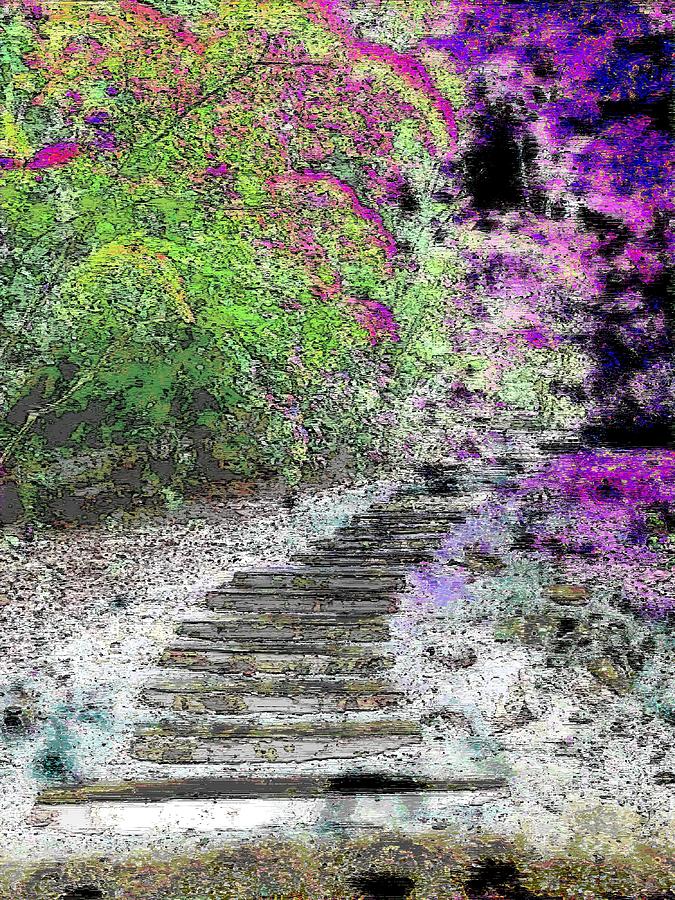 Arbor Pathway Digital Art by Tim Allen