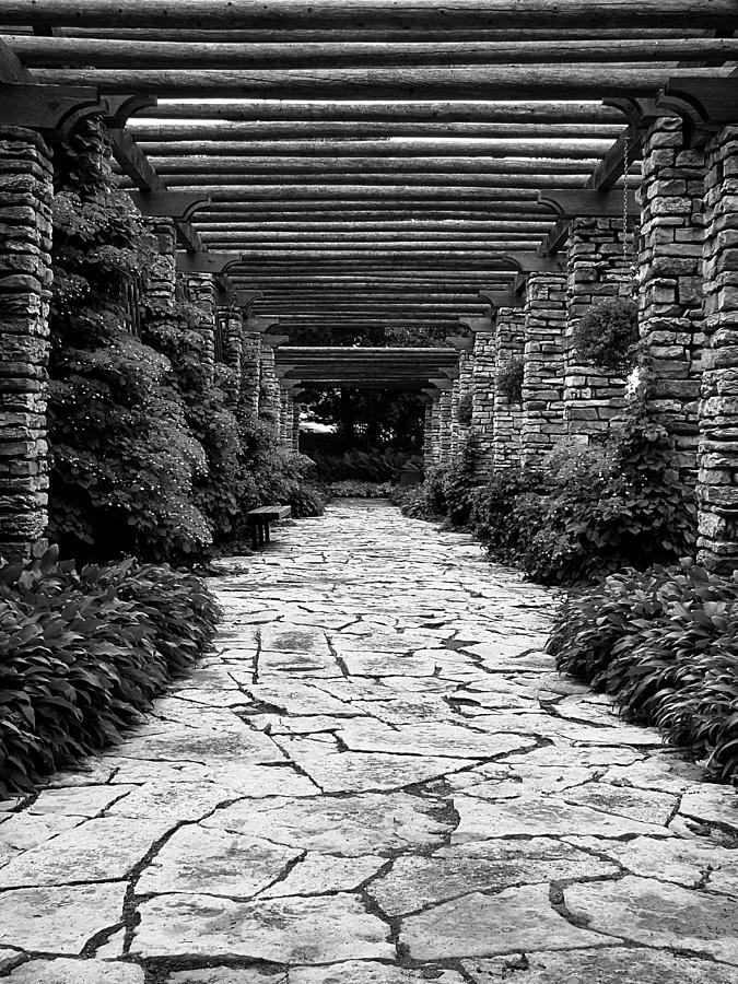 Arbor Walkway BW Photograph by Todd Zabel