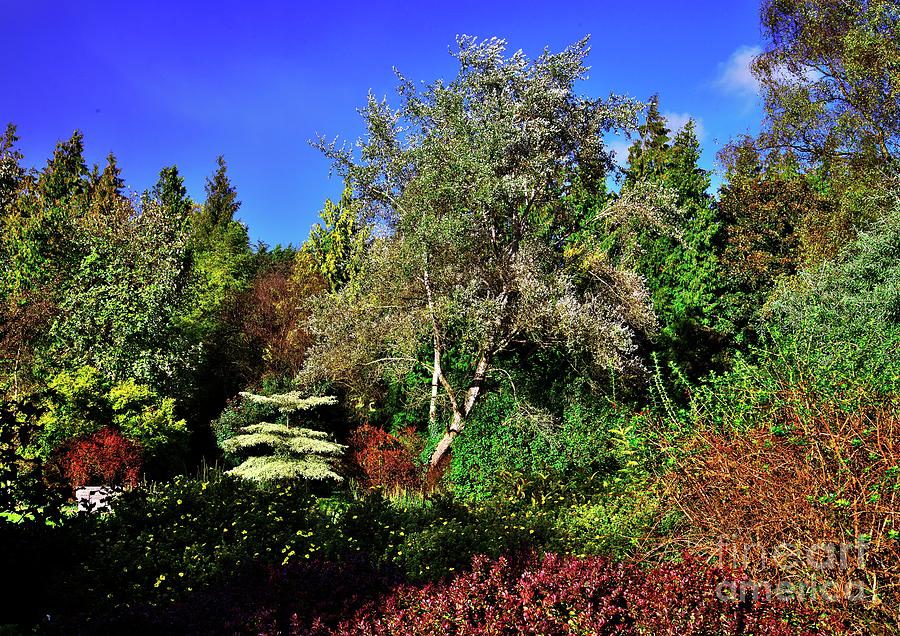 Arboretum Autumn Colors Photograph by Martyn Arnold
