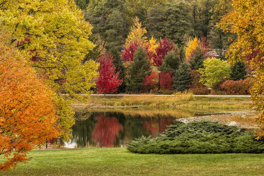 Fall Photograph - Arboretum Autumn by Lindley Johnson