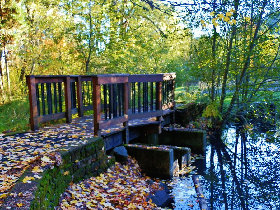 Arboretum Bridge Late Fall Photograph by VLee Watson