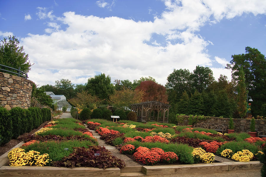 Arboretum In North Carolina Photograph