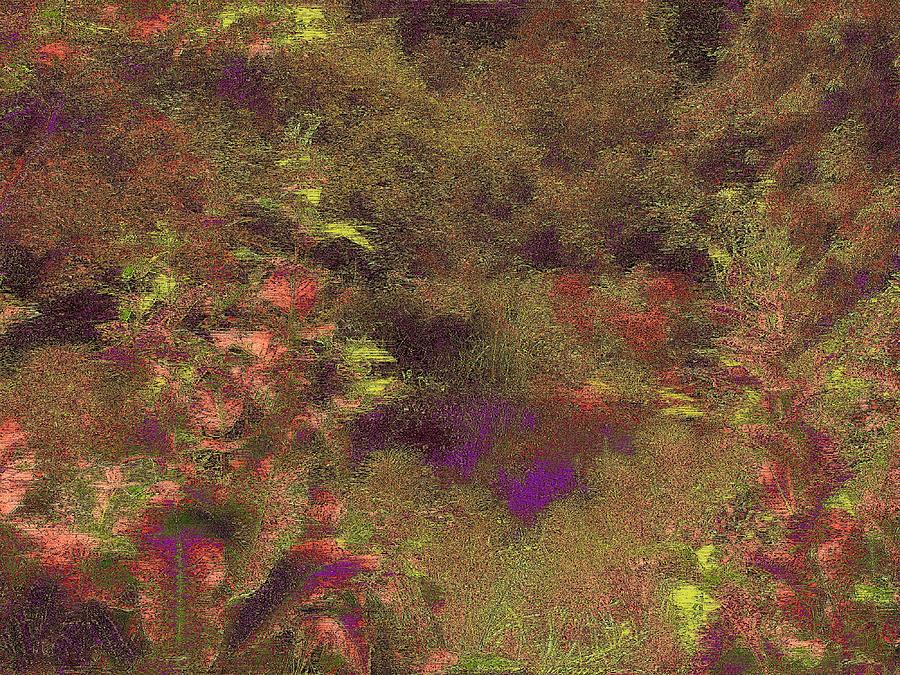 Arboretum Pond Digital Art by Tim Allen