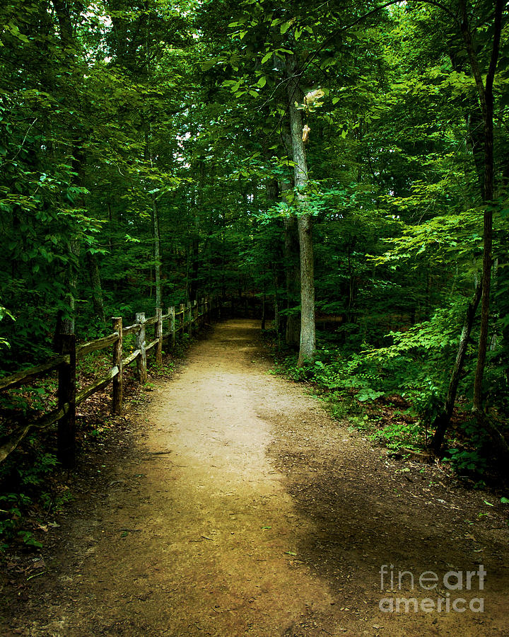 Spring Photograph - Arboretum Trail by Jeff McJunkin
