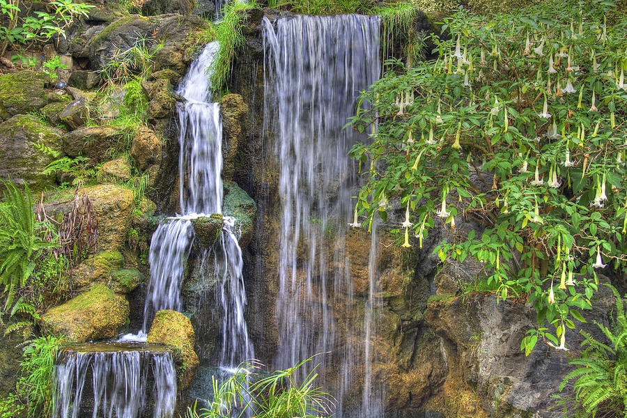 Arboretum Waterfall 2 Photograph by Richard J Cassato