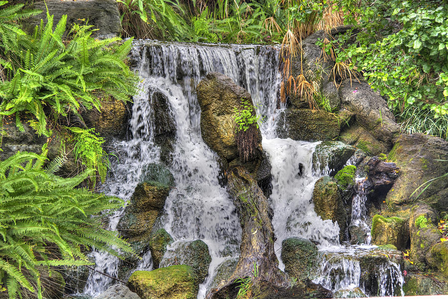 Arboretum Waterfall 3 Photograph by Richard J Cassato