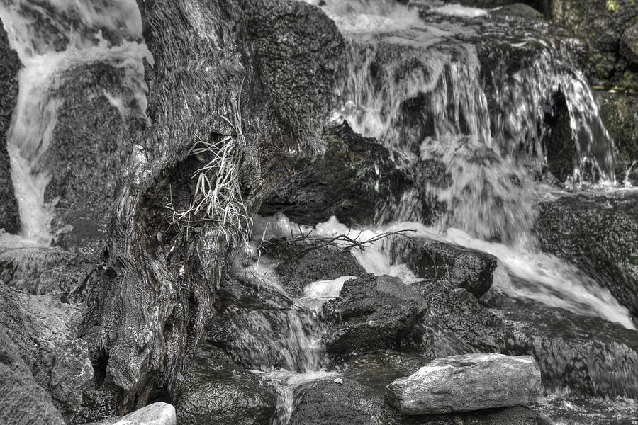 Arboretum Waterfall BW Photograph by Richard J Cassato