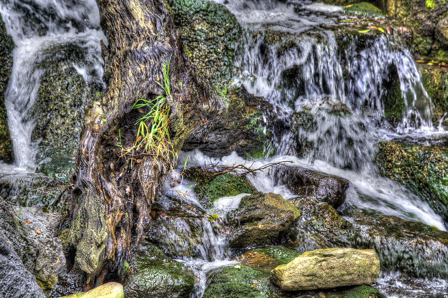 Arboretum Waterfall Photograph by Richard J Cassato