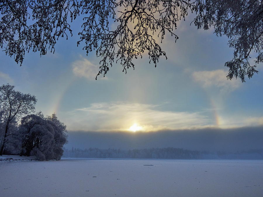 Arboretum winter halo Photograph by Jouko Lehto