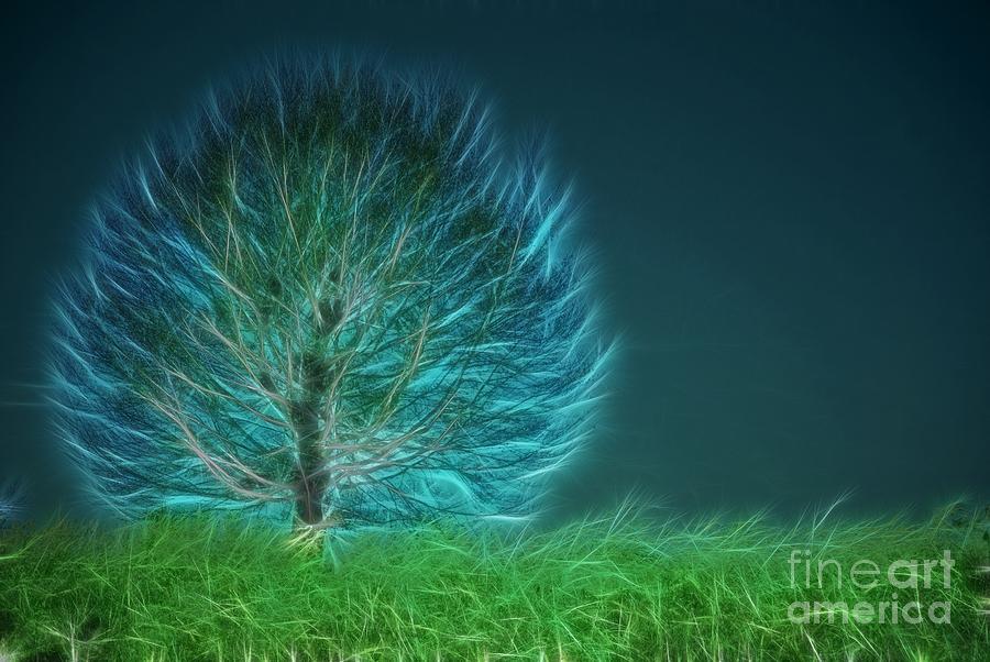 Tree Digital Art - Arbrensens - a19 by Variance Collections