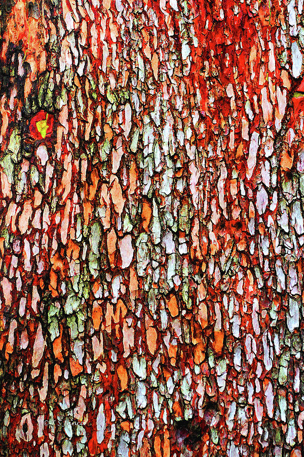 Arbutus Tree Bark Digital Art by Tom Janca Arbutus Tree Bark Digital Art by Tom Janca