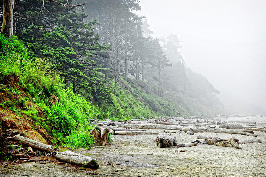 Arcadia Beach in Morning Fog Photograph by Lincoln Rogers