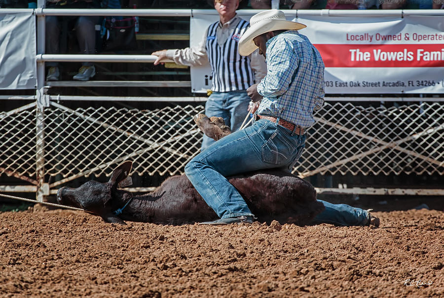 Arcadia Championship Rodeo - Calf Tied Down in 9 Seconds Flat Photograph by Ronald Reid