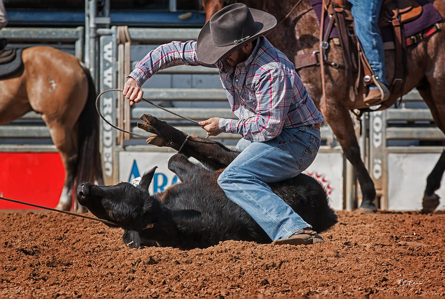 Arcadia Championship Rodeo - Wrapping up the Calf Photograph by Ronald Reid