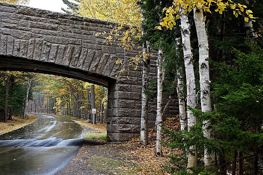 Arcadia National Park 2 Photograph by Deborah Kilty