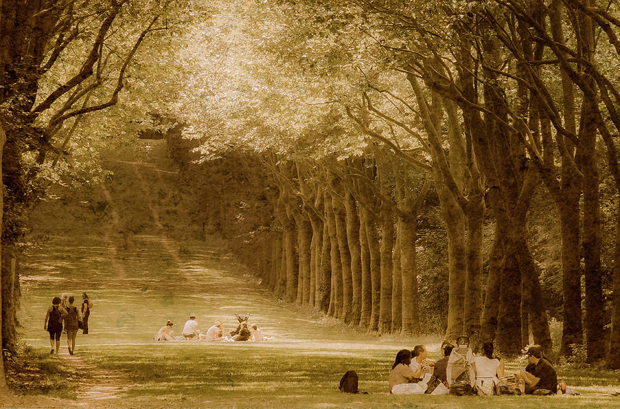 Sceaux, France - Arcadian Days Photograph by Mark Forte