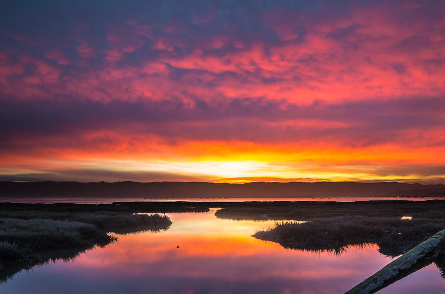 Arcata Bay Fire Sunrise Photograph by Greg Nyquist