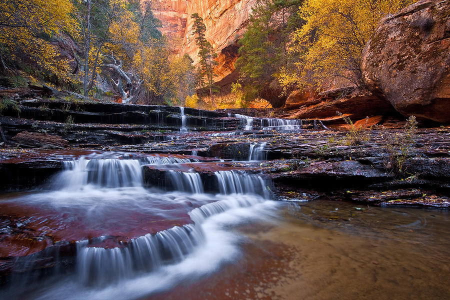 Arch Angel Falls Photograph by Guy Schmickle - Fine Art America