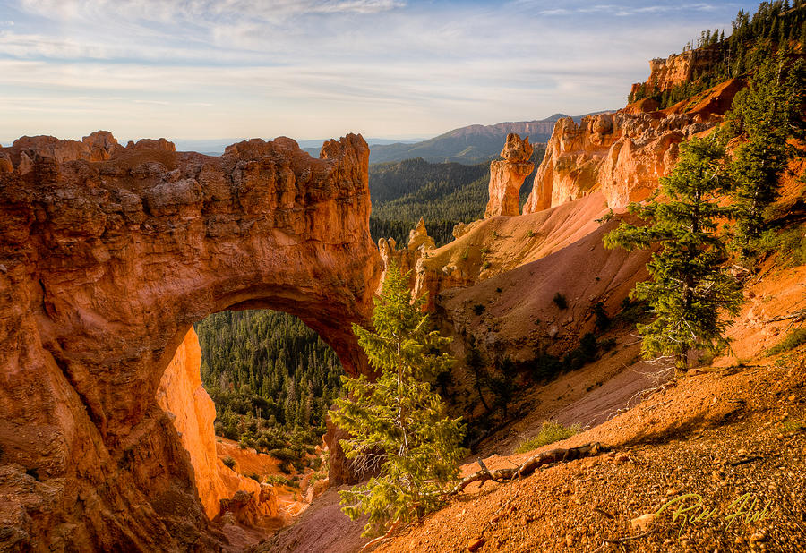 Arch at Bryce Photograph by Rikk Flohr