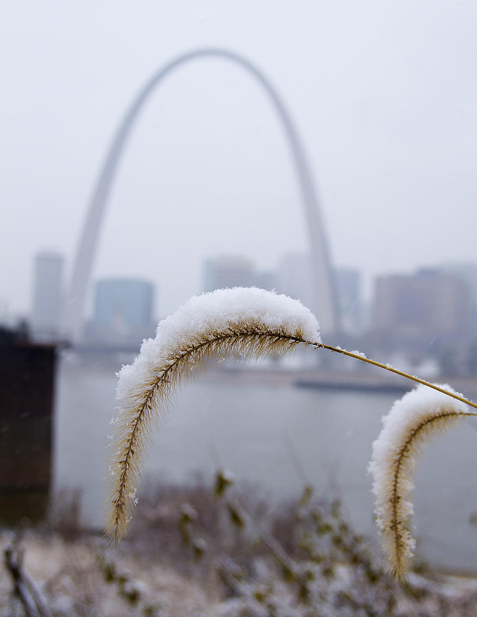 Arch in Winter Photograph by Garry McMichael