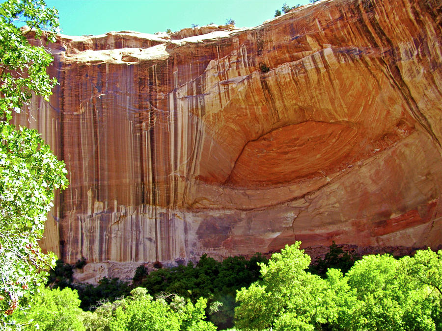 Arch near Calf Creek Lower Falls Trail in Grand Staircase-Escalante National Monument, Utah Photograph by Ruth Hager