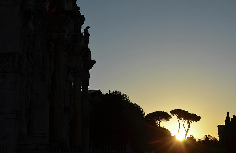 Arch of Constantine Arco di Costantino and Stone Pine Trees Sunset Silhouettes Rome Italy Photograph by Shawn OBrien