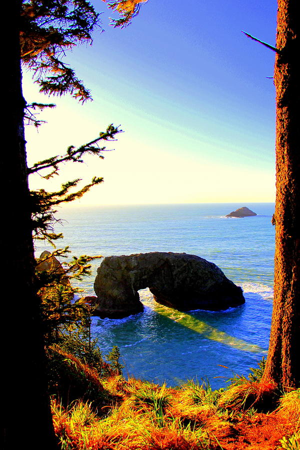 Arch Rock Photograph - Arch Rock Reflection by Michele Hancock Photography