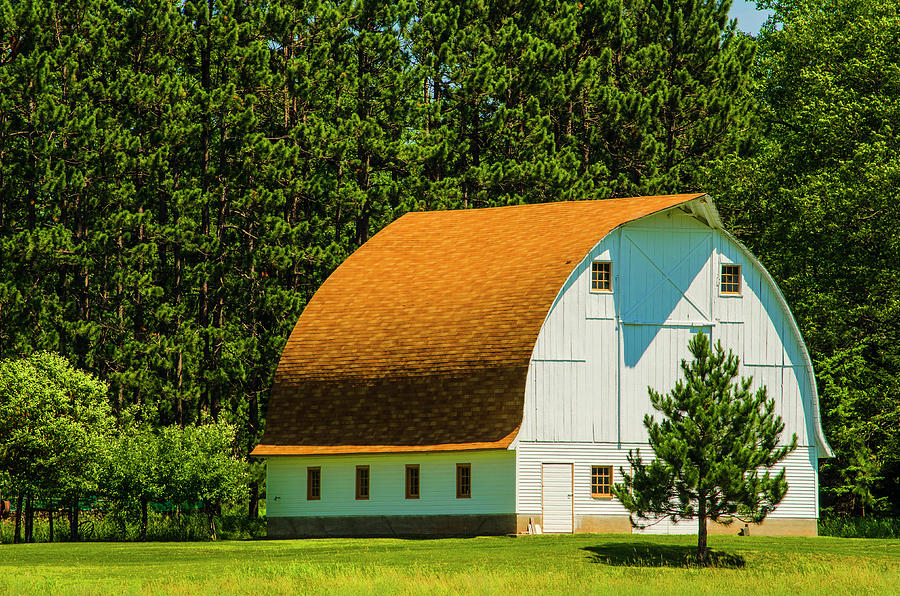 Barn Photograph - Arch Roof Barn and Pine Tree Channing Michigan by Deborah Smolinske