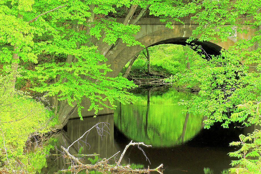 Bridge Photograph - Arched Bridge by Brian Pflanz Bridge Photograph - Arched Bridge by Brian Pflanz