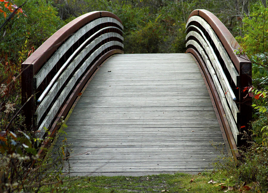 Arched Bridge Photograph by Tim Fitzwater