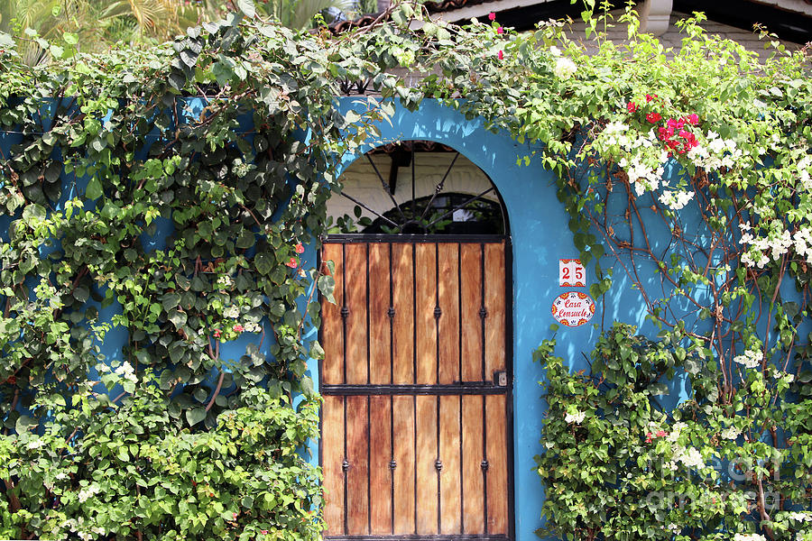 Arched Door Photograph by Teresa Zieba