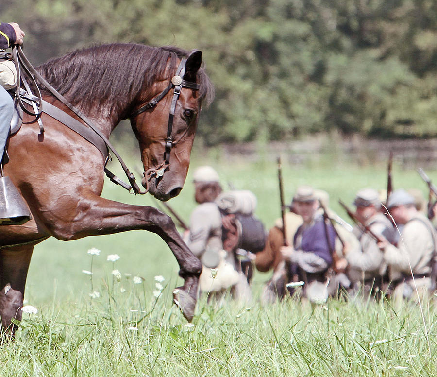 Horse Photograph - Arched into Battle by Susie Gordon