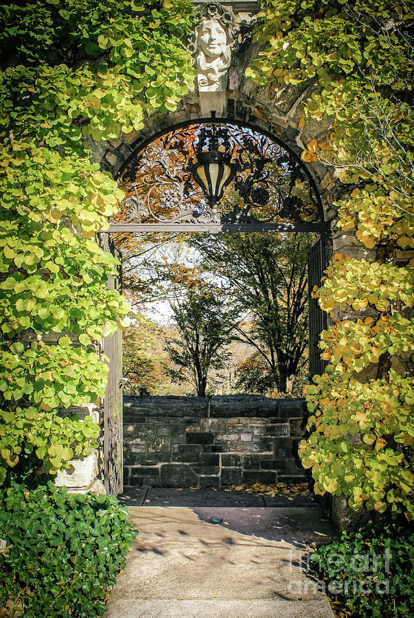 Arched Path Photograph by Colleen Kammerer - Fine Art America