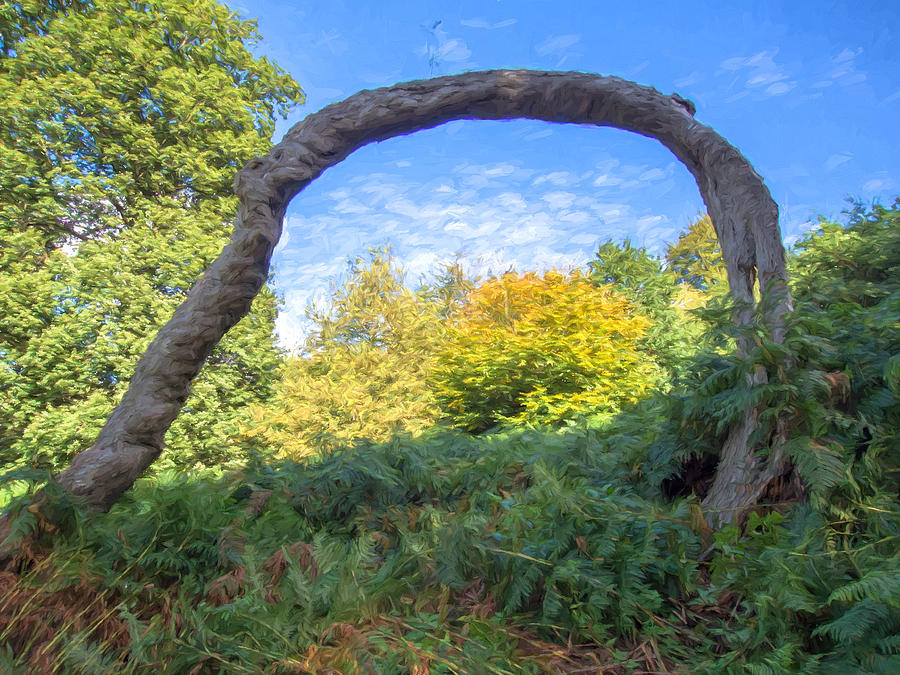 Arched Tree Digital Art by Roy Pedersen
