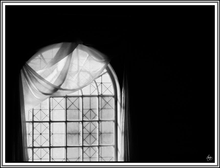 Arched Window Monochrome No 2 Photograph by Wayne King
