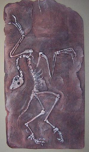 Relief Relief - Archeopteryx by Timur Tekbas Relief Relief - Archeopteryx by Timur Tekbas