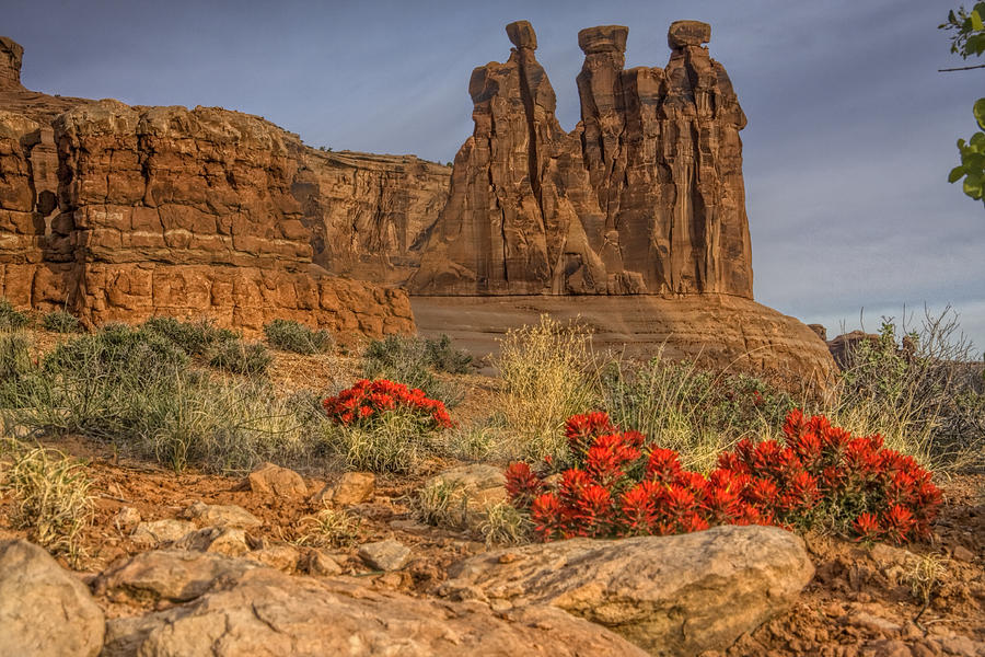 National Parks Photograph - Arches National Park by Barbara Vietzke