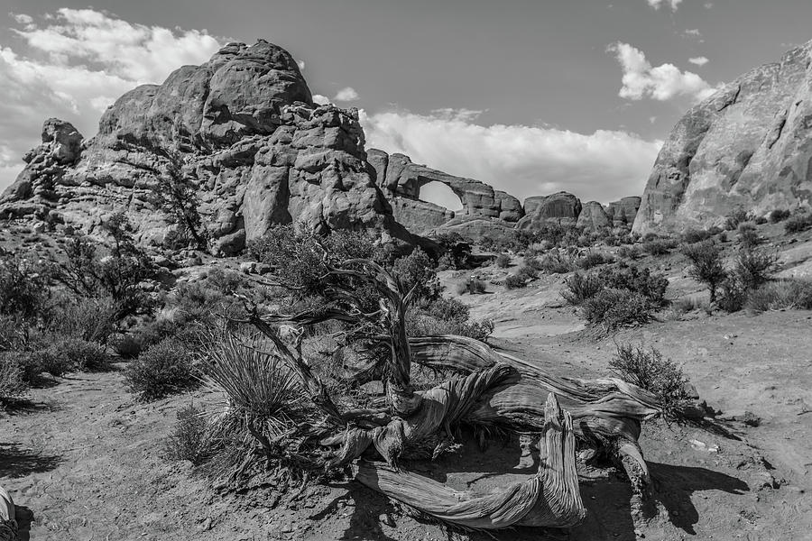 Arches National Park Broken Arch Black and White  Photograph by John McGraw