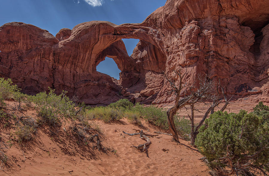 Arches National Park Double Arch Color Photograph by John McGraw