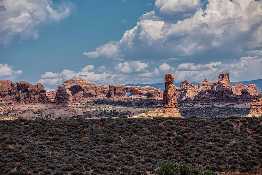 Arches National Park Photograph by John McGraw