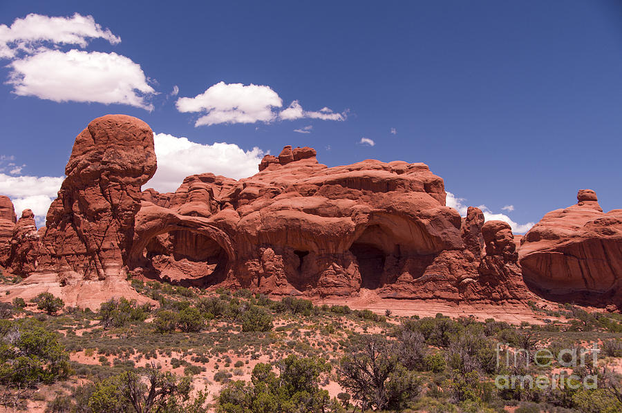 Arches National Park Photograph by Louise Magno