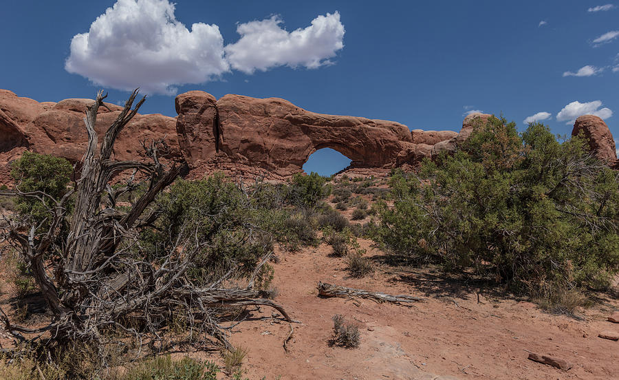 Arches National Park North Window in Color  Photograph by John McGraw