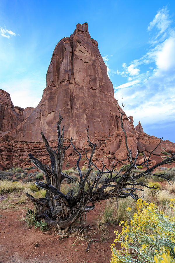 Arches National Park Rock Formation Photograph by Ben Graham